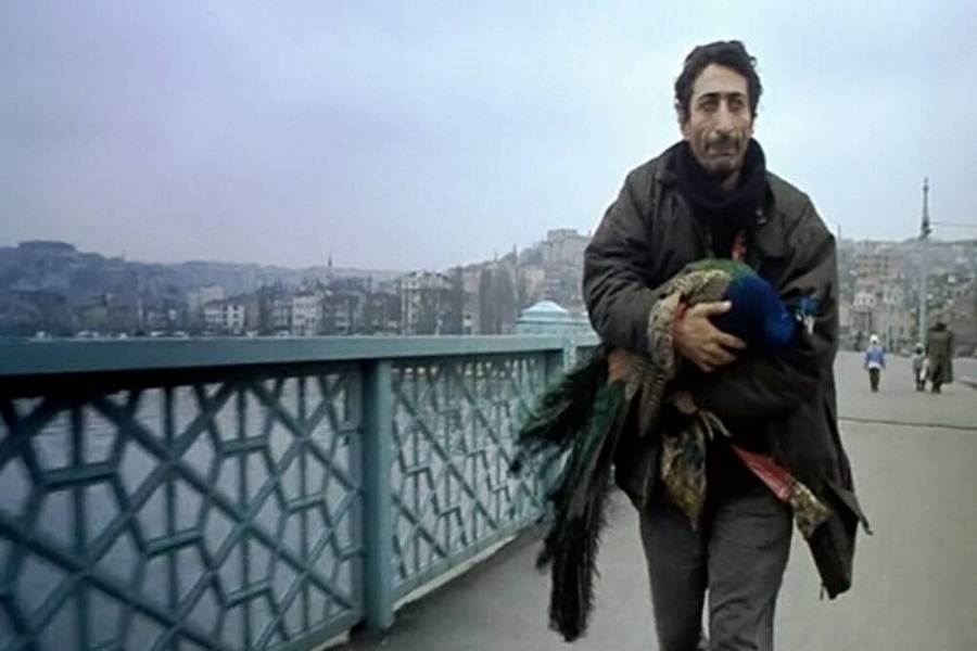 Tabutta Rövaşata (1996) Film İncelemesi