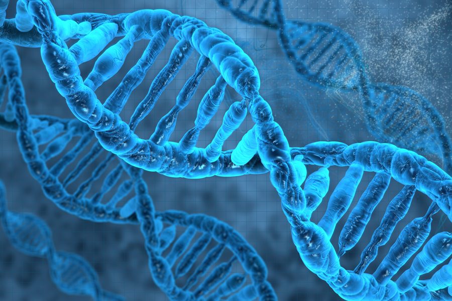 DNA Nanorobotları ile Kanserli Hücreler Yok Edildi!