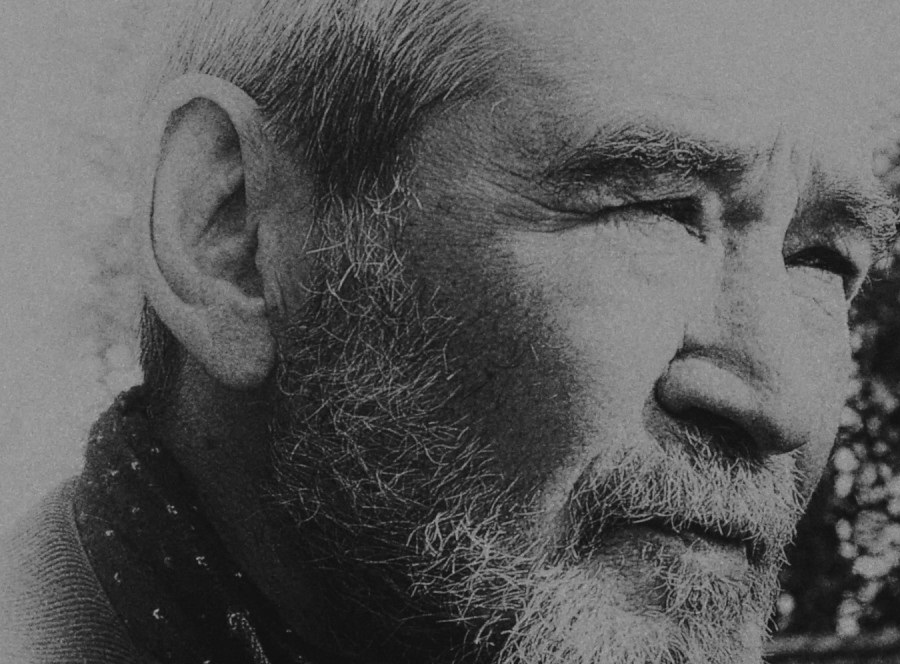 Anlam Dolu Dizelerin Şairi: Ahmet Telli