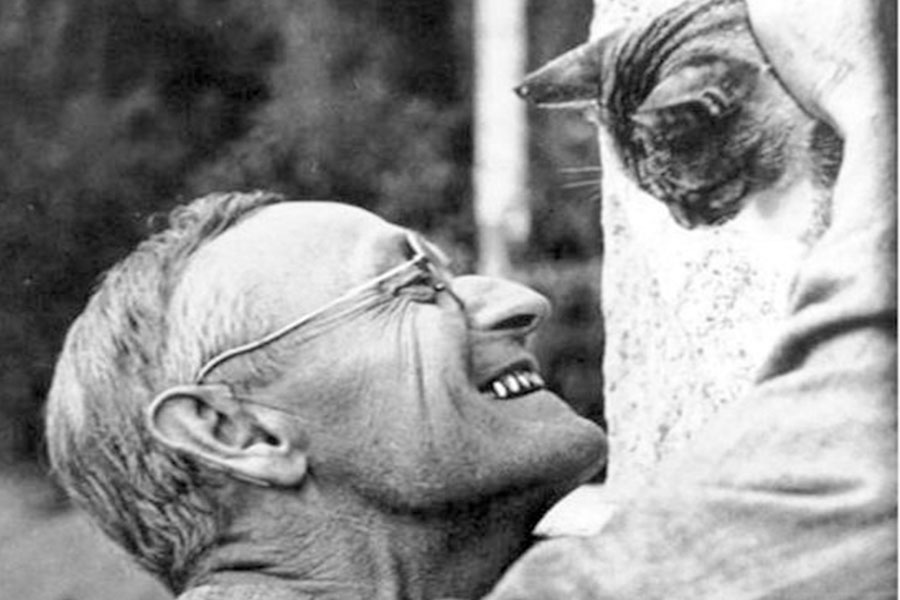 Hermann Hesse Eserlerinden Okunması Gereken Alıntılar