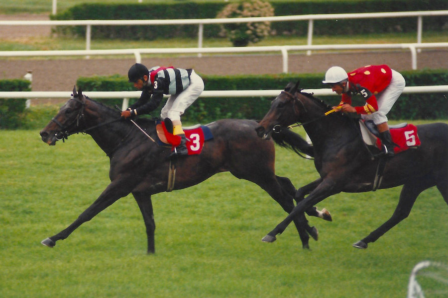 Efsane Yarış Atı Bold Pilot'un Filmi "Boldi" Geliyor