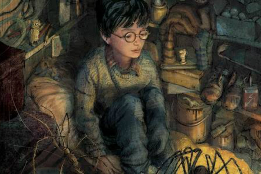 Harry Potter Resimli Özel Baskı Kitap Seti Çekiliş Sonucu Belli Oldu