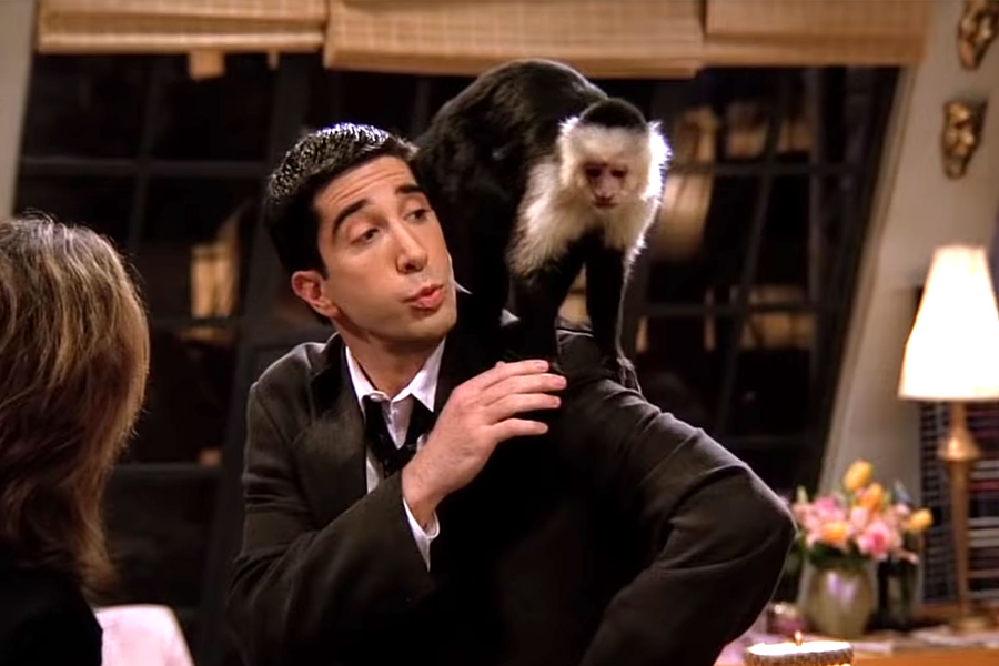 Friends'in Marcel'i Yepyeni Bir Rolle Ekranlara Geri Dönüyor