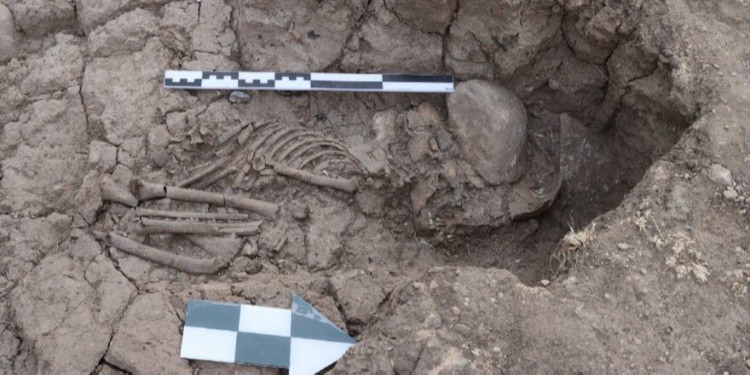 Tunceli'de 5500 Yıllık Çocuk İskeleti Keşfedildi