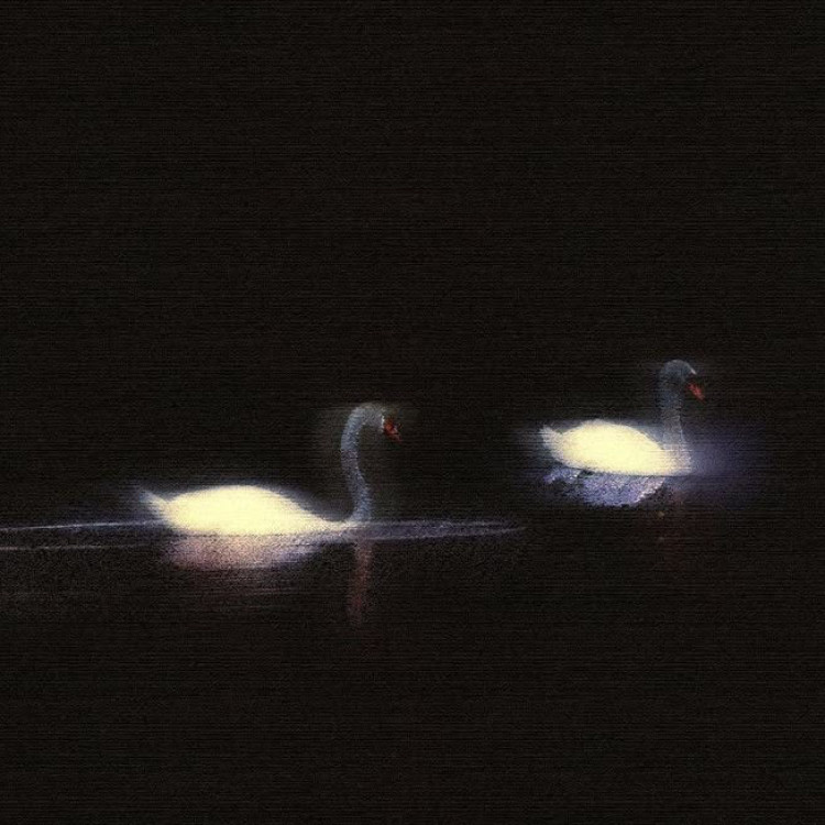 Adı konulmamış geceler