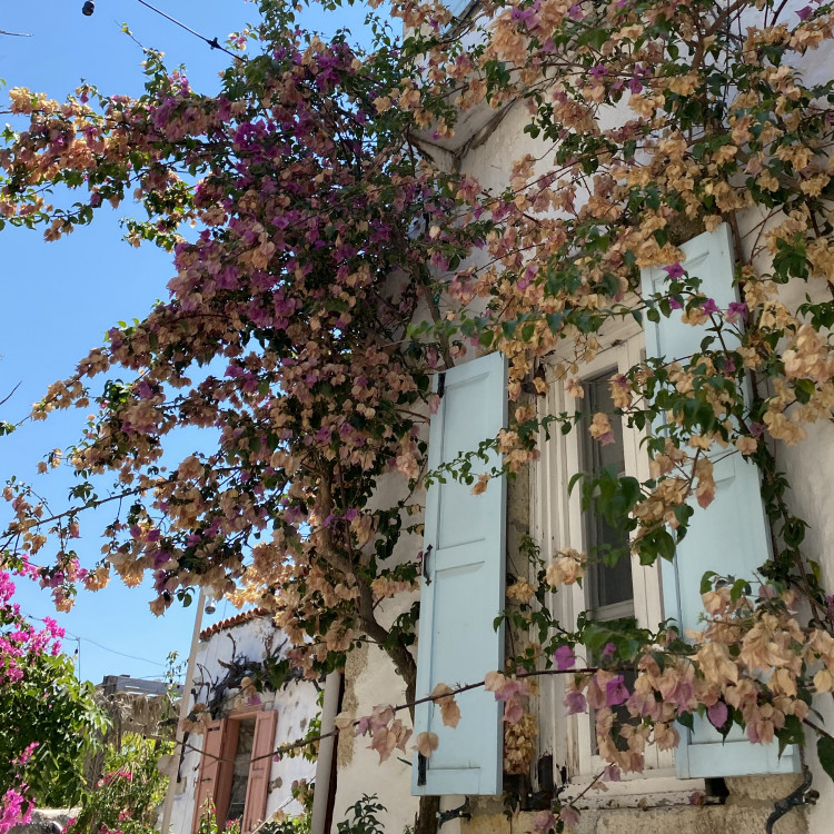 Alengirli Şiir