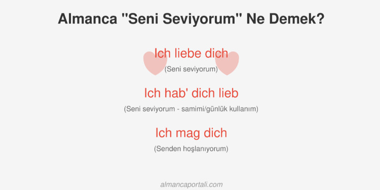 Almancada Seni Seviyorum