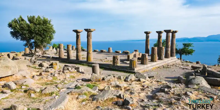 Antik Dünyanın "Cool" Sığınağı: Aristo'nun Felsefe Kurduğu, Taşın Dile Geldiği Y