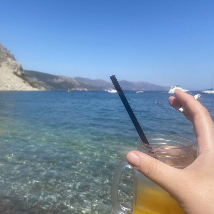 Artık Kertenkele Olmak İstemiyorum