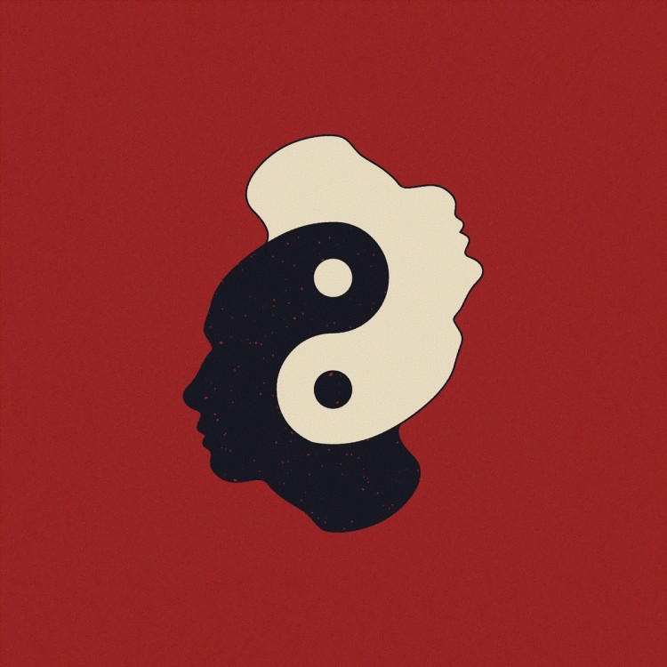 Aynı Ağacın Göçmenleri