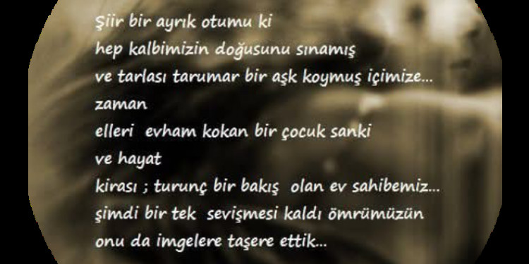 Ayrık  Otu