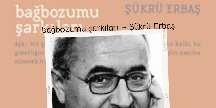 Bağbozumu Şarkıları - Şükrü Erbaş İnceleme