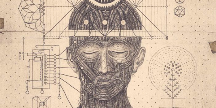 Bilincin Fonksiyonel Taksonomisi: Üç Katmanlı Model