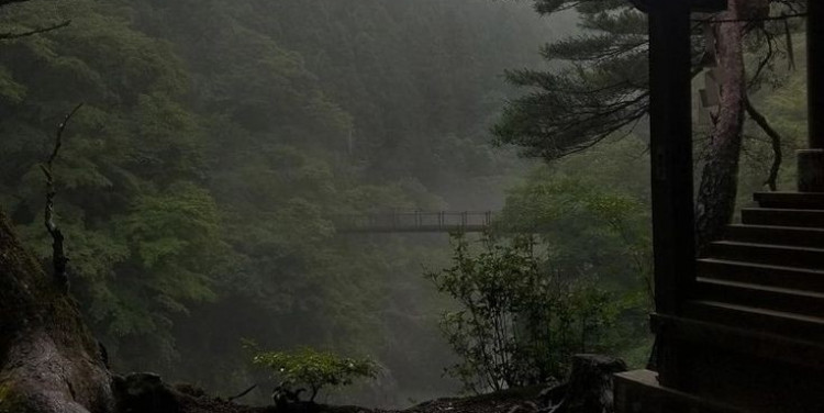 Bir bekçinin notları