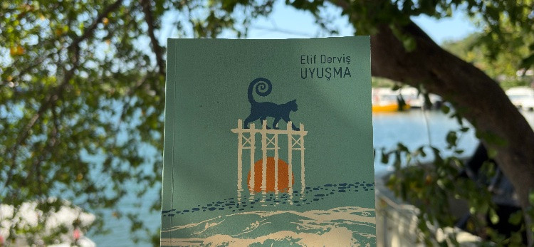 Bir Miyazaki Klasiği Gibi: Uyuşma - Elif Derviş
