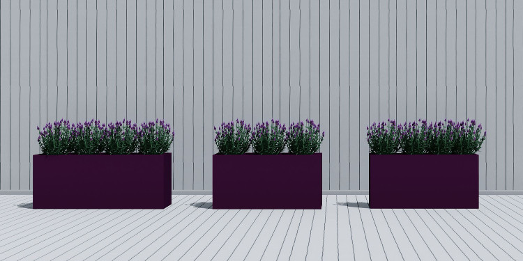 Bitkileriniz İçin En Uygun Şartları Sağlayın