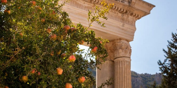 Bu Yüzden Mutluyken De Yalnızsın.