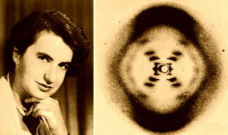 Canlılığın Temelini (DNA) ilk Görüntüleyen Bilim İnsanı : Rosalind Franklin