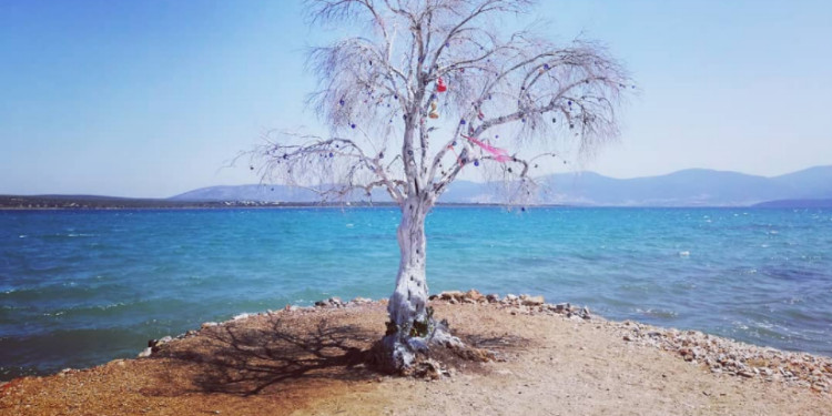 Cennete Ağıt