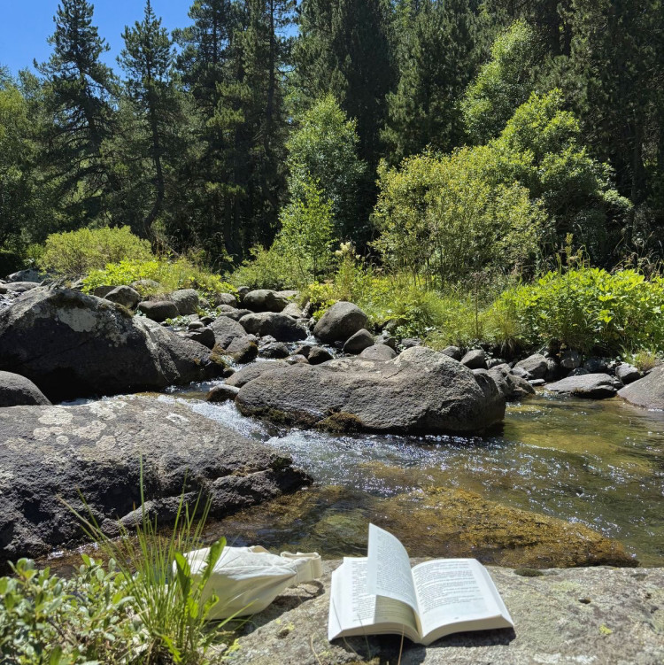 Doğaya Dönmenin Kuzey Yolu: Friluftsliv