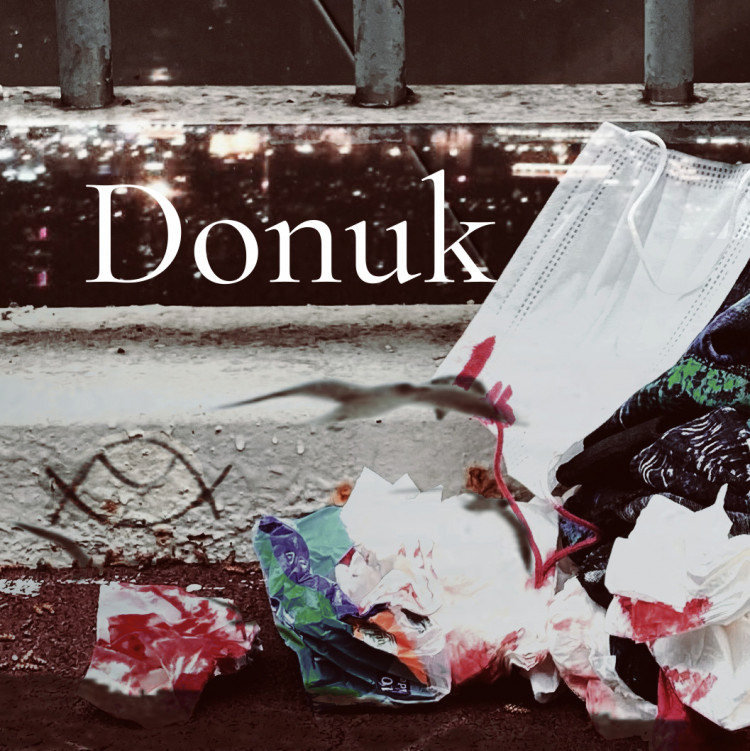 Donuk