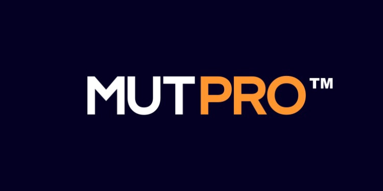 Endüstriyel Mutfak Sektöründe Verimlilik ve Estetik