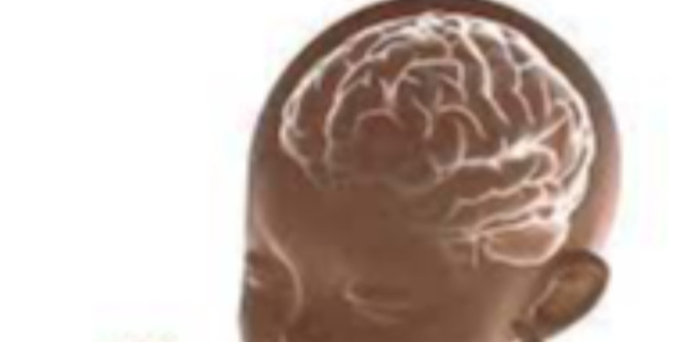 Erken Çocukluk Gelişimi Bilimi 2: Beyin Erken Deneyimlerden Nasıl Etkilenir?