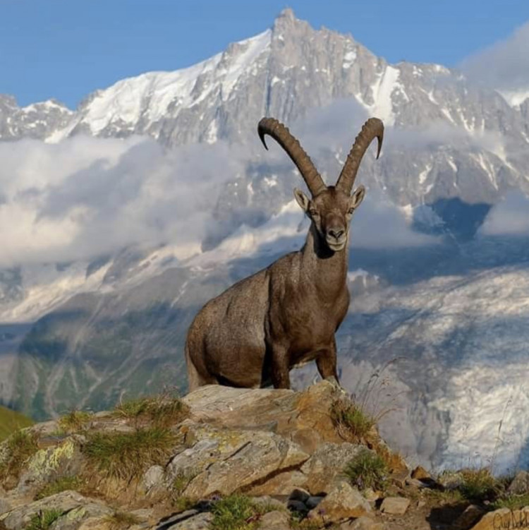 Evsiz Kelimelerin İsyanı