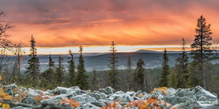Finlandiya Turistik Yerler Rehberi