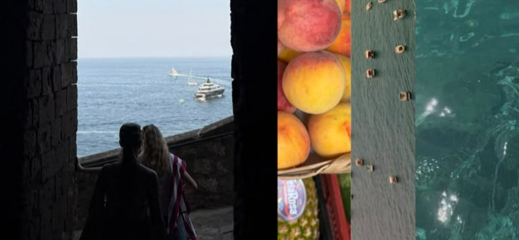 Frene Bas Leyla:  Ağustos, Galerim ve Diğer Meseleler