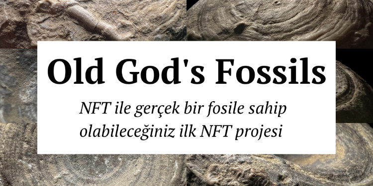 Gerçek Bir Fosile Sahip Olabileceğiniz İlk NFT Projesi: Old God's Fossils