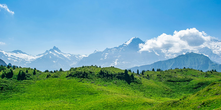 Gerçek Dostluklar Burada Başlıyor: Sohbet Odalarıyla Tanış!