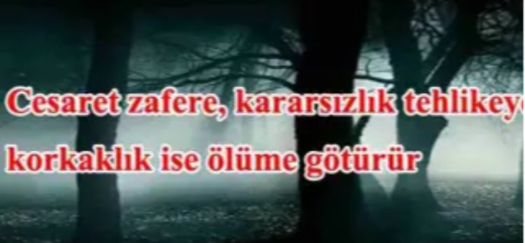 Gölgenizden Korkuyorsunuz!