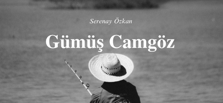 Gümüş Camgöz (Hikâyesi)