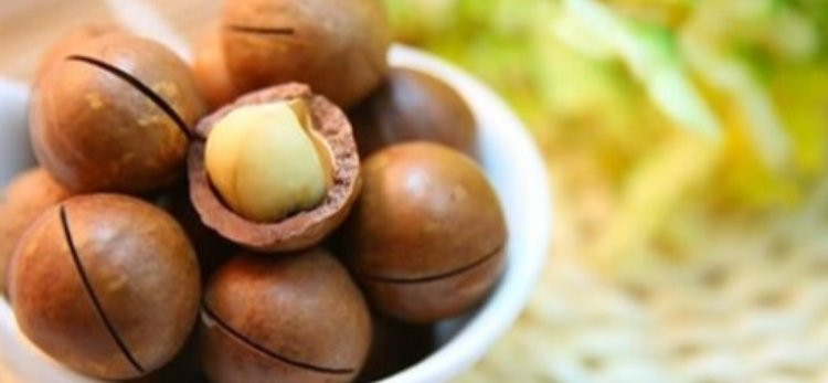 Gümüşhane’den Dünyaya Uzanan Doğal Lezzet Köprüsü: pestil.net