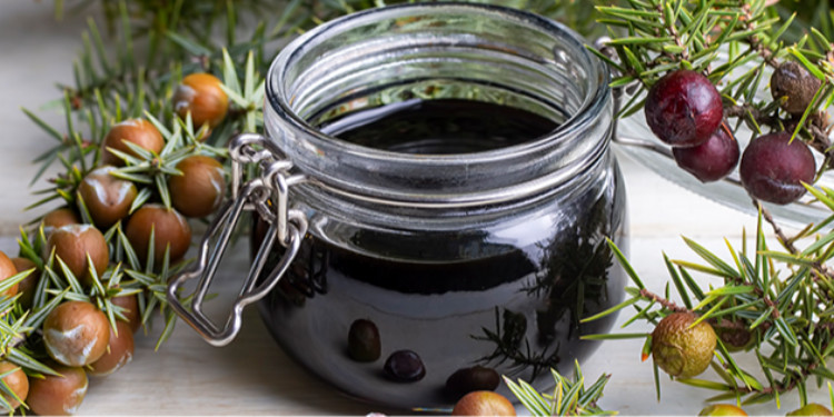 Gümüşkale Dut Pekmezi: Doğanın Şifa Dolu Tatlılığı