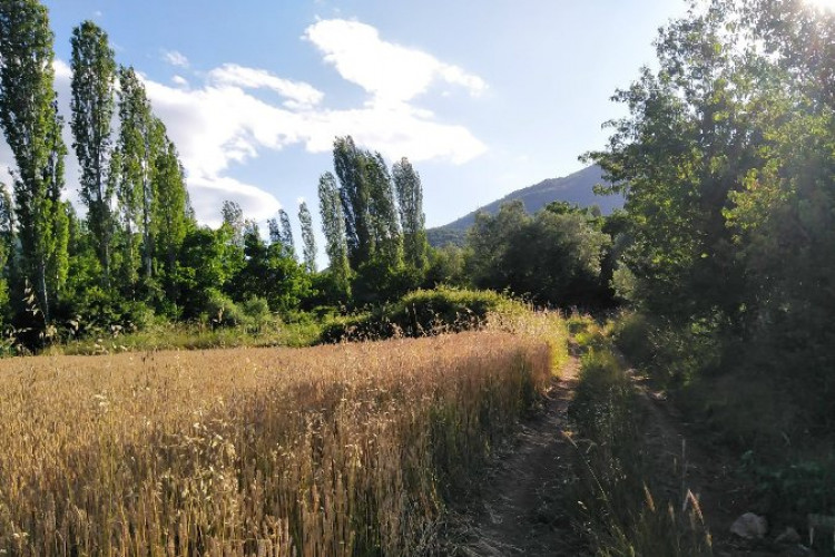 Huzurlu Bir Gün Batımında Dinlenebilecek  Şarkılar