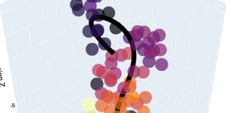 İnsan Beyninin Dönüm Noktaları: 9, 32, 66 ve 83. Yaşlar