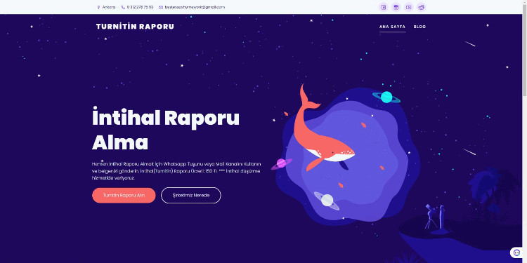 İntihal (Turnitin) Raporu Yaptırma Klavuzu 2024-2025