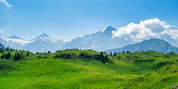 İstanbul Sohbet Odaları
