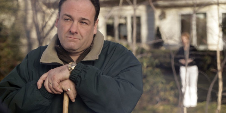 James Gandolfini, Neredeyse The Office'te Oynayacakmış