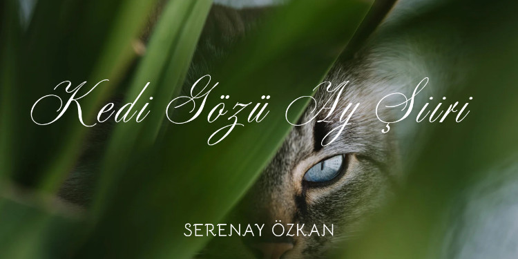 Kedi Gözü Ay Şiiri|Serenay Özkan