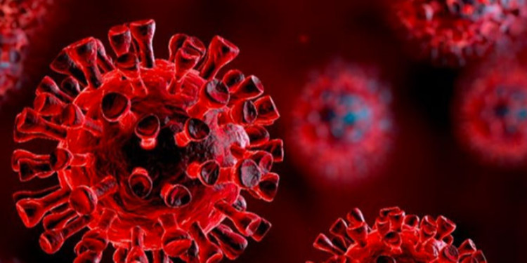 Koronavirüs Dolayısıyla Yeni Tedbirler