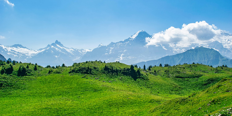 Mobil Sohbet Siteleri