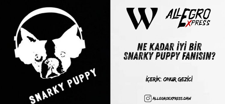 Ne Kadar İyi Bir Snarky Puppy Fanısın?