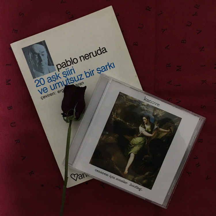 Ne kadar Kanove hayranısın?