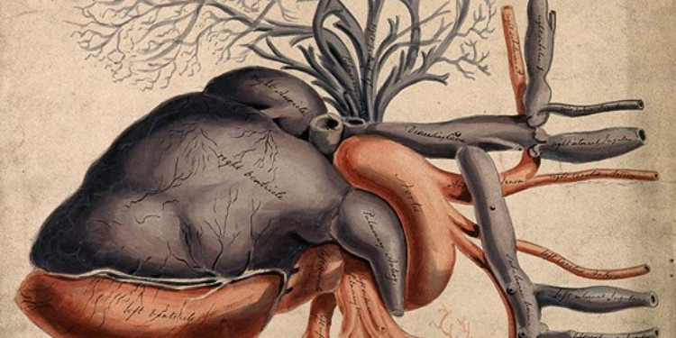 Nobele Göz Kırpan El Yazısı