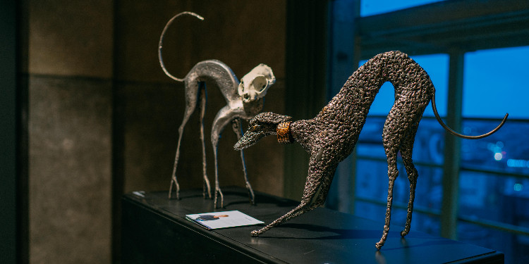 “ODA ODA” SERGİSİ,  METROHAN’DA  ALAYLI DÜŞÜNCENİN İZİNİ SÜRÜYOR!