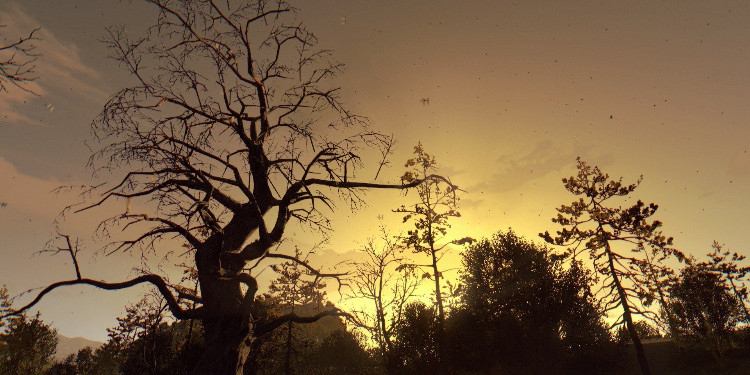 sanki her şey adamlar için