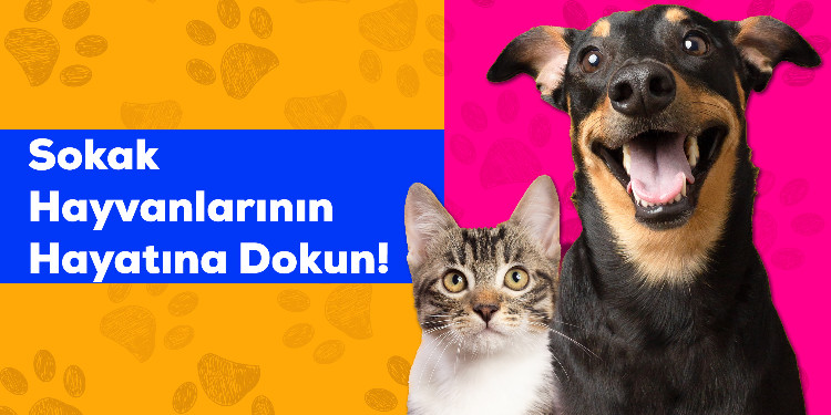 Pazarama’dan Dünya Sokak Hayvanları Günü’ne Özel Destek